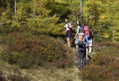 Wandern in Mauterndorf