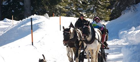 Pferdeschlittenfahrten im Lungau